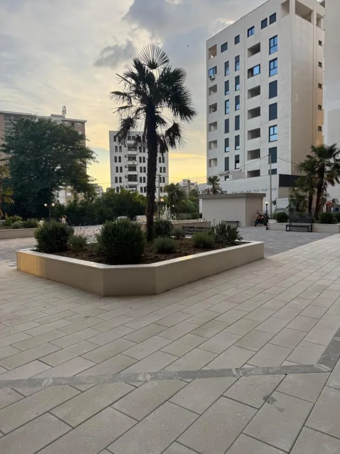 Palms in the residence courtyard